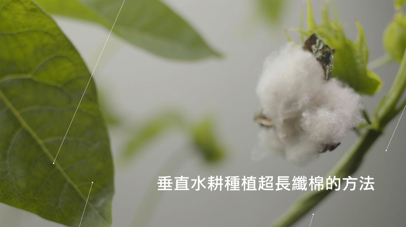 Hydroponic C Thumbnail