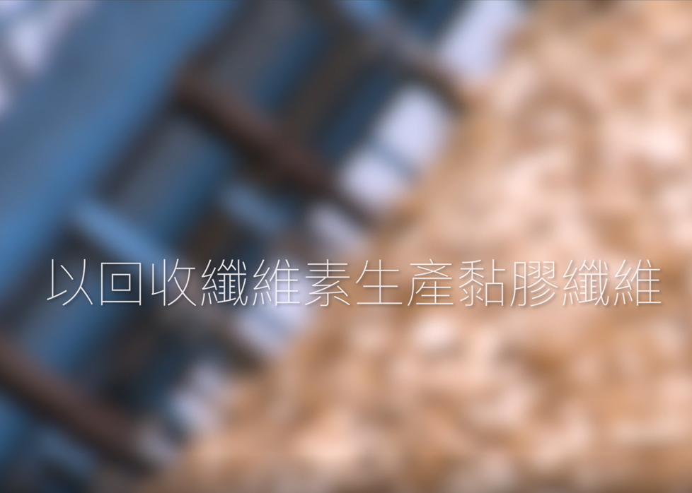 Daiwabo C Thumbnail